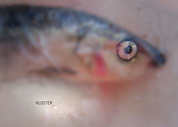 Ellen Louise Weise - Ausstellung Kloster im tête